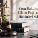 Ceza Hukukunda Etkin Pismanlik Hukumleri 1 80x80